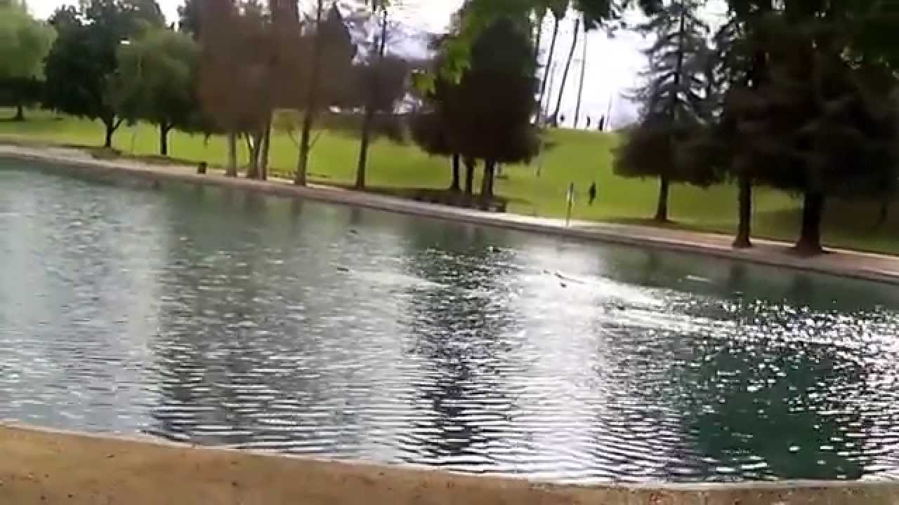 The Lake, Regional Park La Mirada