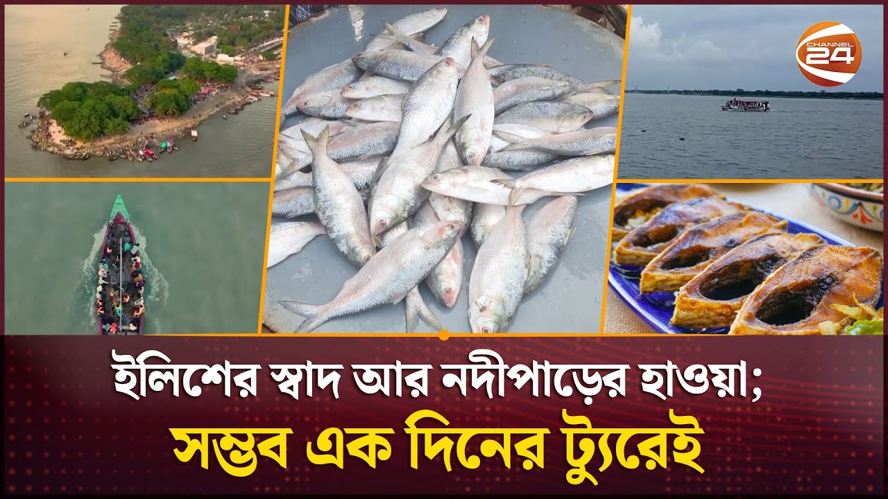 ইলিশের টানে চাঁদপুর ট্যুর, এক দিনেই সম্ভব | Chandpur Tour | Hilsa Fish | Channel 24