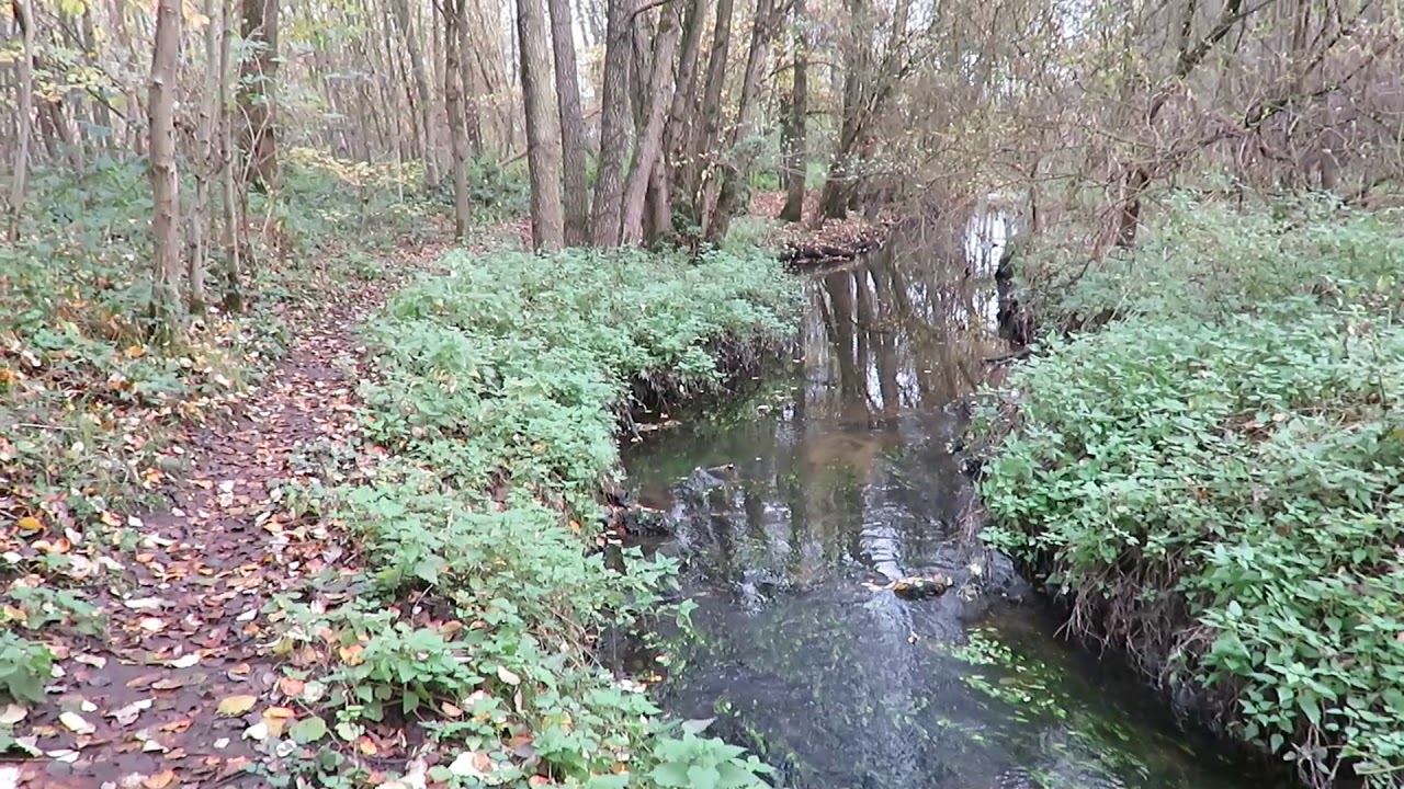 LILLO  - (Houthalen Helchteren) Een herfstwandeling