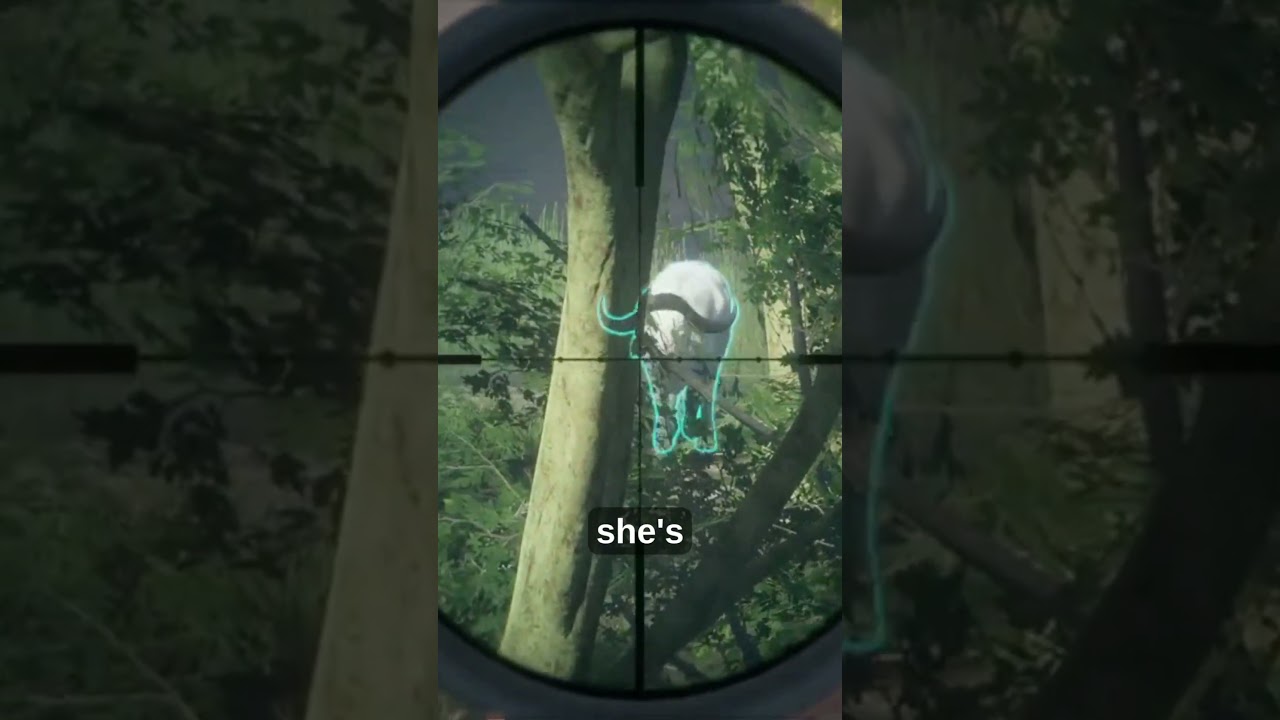 Привет, красавица! - Зов дикой природы #cotw #hcotw #cotwgameplay #cotwclips #callofthewildgameplay