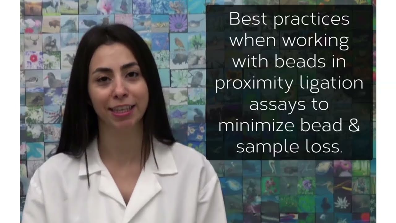 How To Work With Paramagnetic Beads in Proximity Ligation Assays
