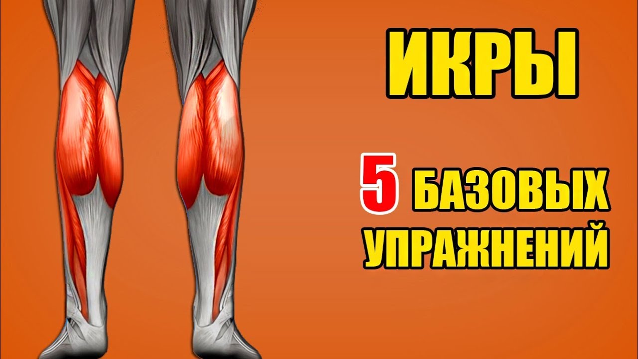 ИКРЫ. 5 базовых упражнений. Техника / Биомеханика - Икроножные мышцы