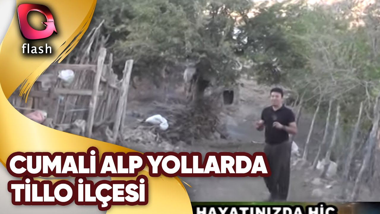 Cumali Alp Yollarda | Tillo İlçesi