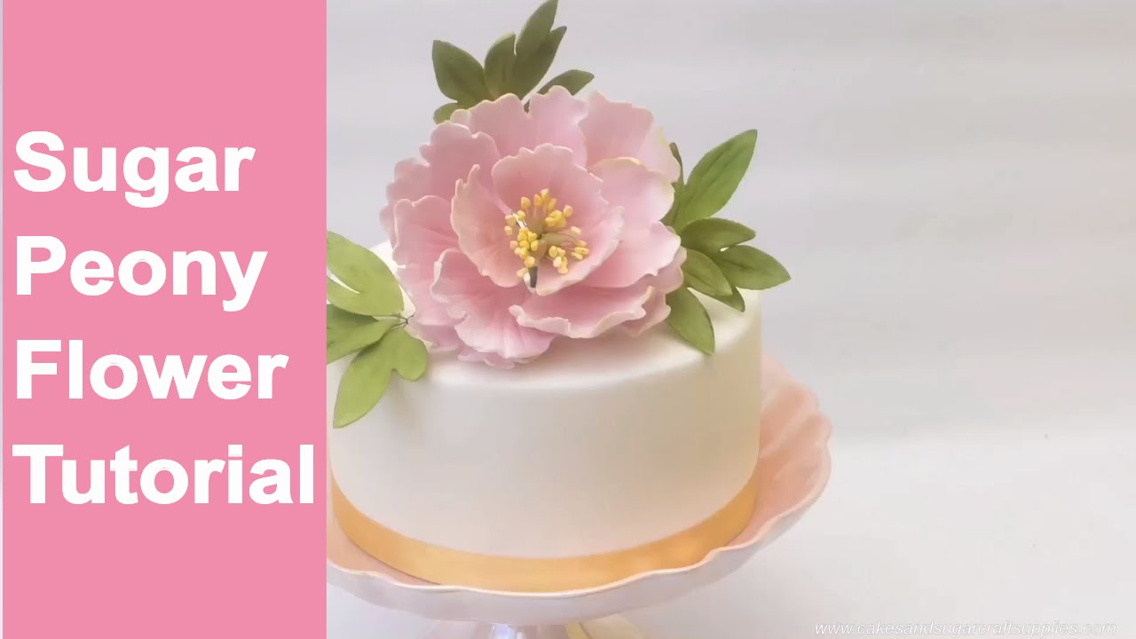 SUGAR FLOWERS: How to make open sugar peony flower and leaves tutorial by Busi Christian-Iwuagwu