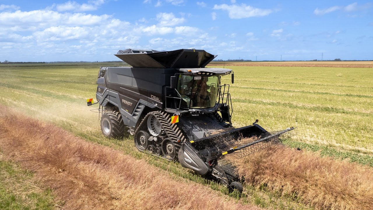 Fendt Ideal 8T Combine - Harvesting Canola
