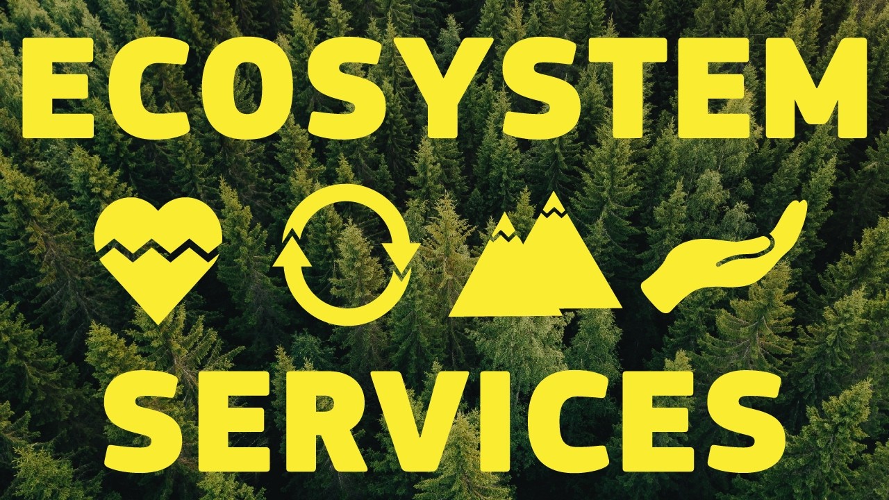 Ecosystem services and Biodiversity - Science for Environment Policy