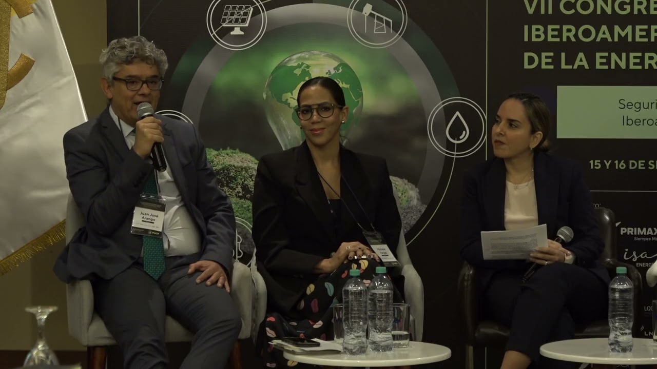 Congreso ASIDE 2025 / Lima, Perú - Panel 6