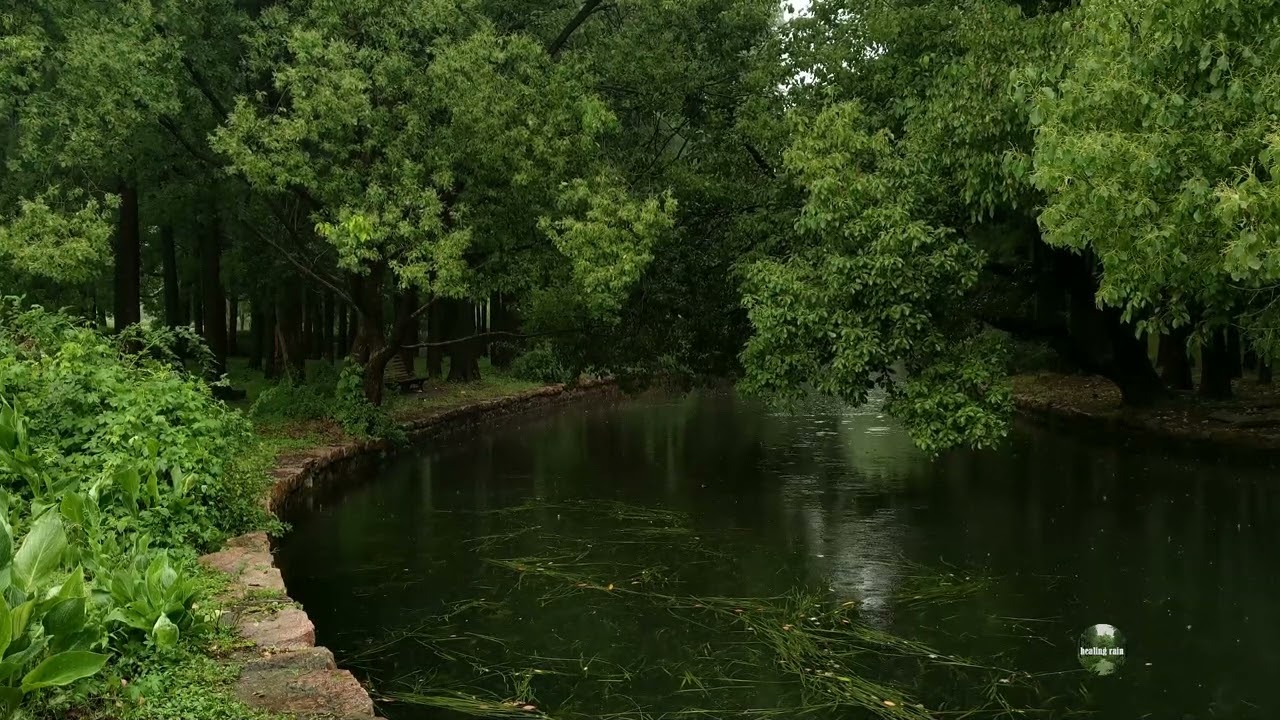 The sound of rain on green ponds, creeks, and small bridges helps sleep.The sound of rain in nature