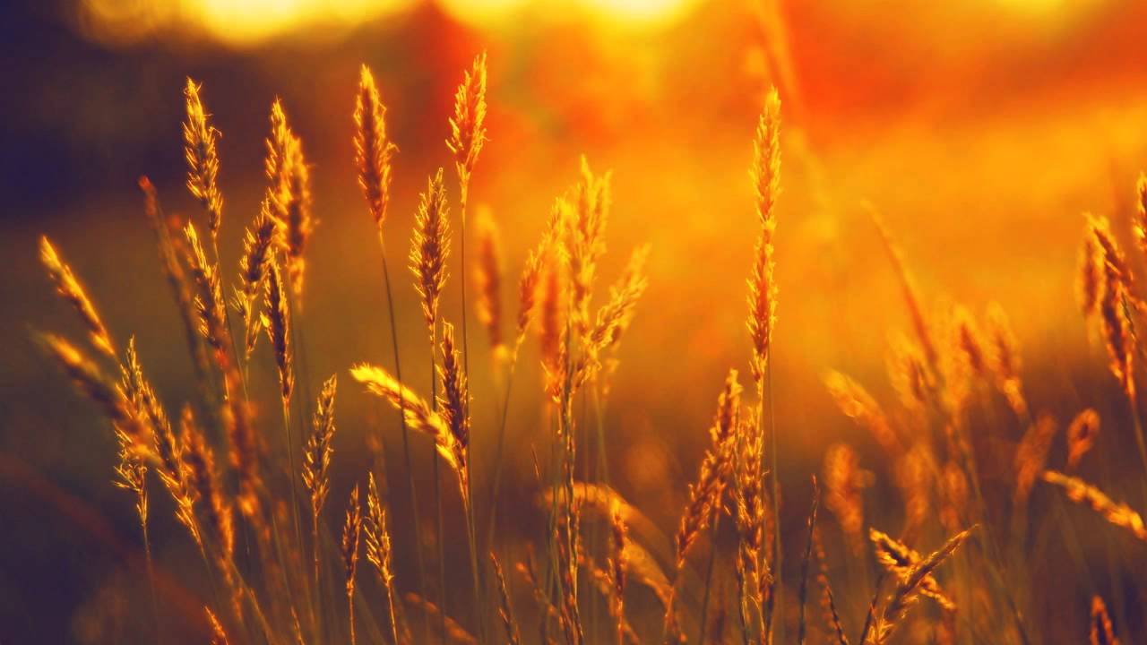 Ishq - And Awake (HD)