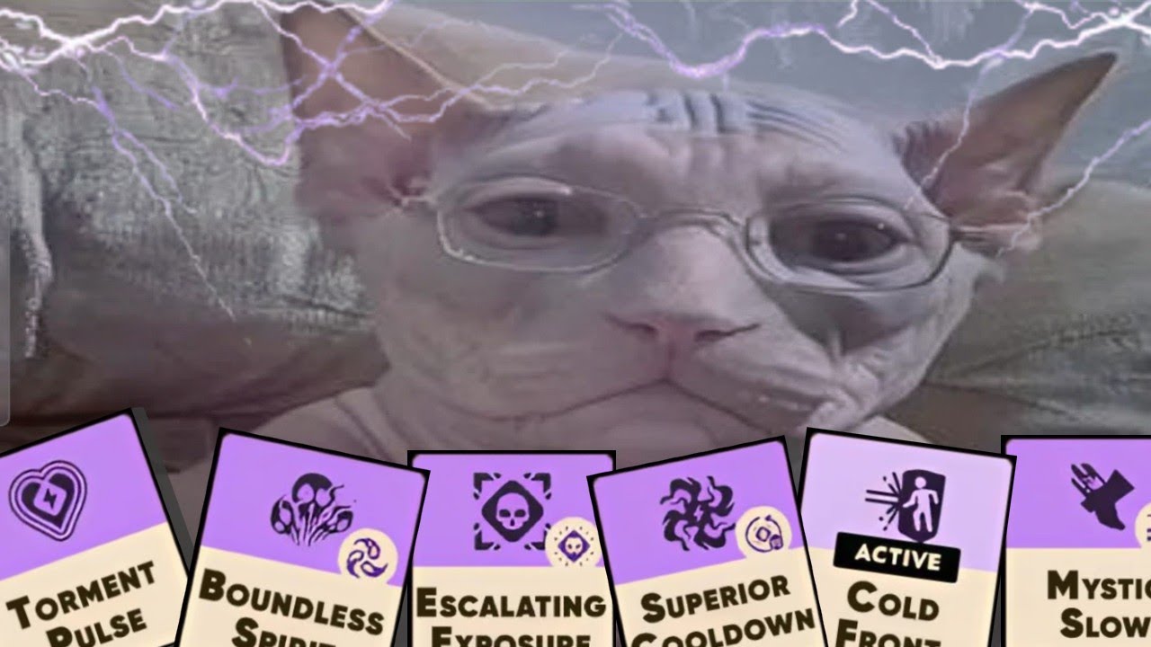Angry cat that attacks everything in sight | CALICO Deadlock