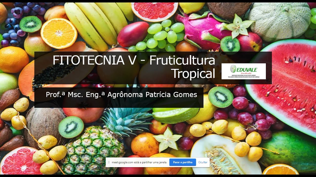 Aula 01 Fruticultura Tropical Apresentação