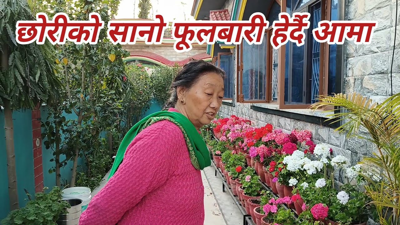 आमाले हेरेपछि छोरीको फुलबारी @ Ramgarh #Dehradun #ClementTown #देहरादून #उत्तराखण्ड