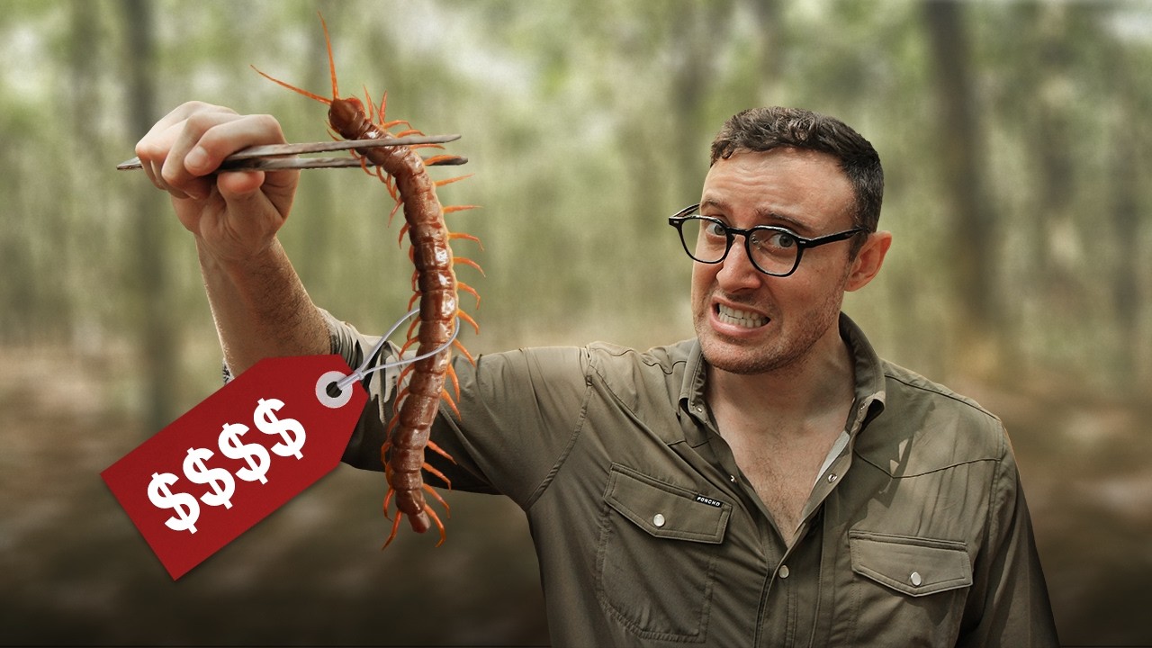 Giant VENOMOUS Centipedes Are Making Villagers Millions&mdash;Here&rsquo;s How