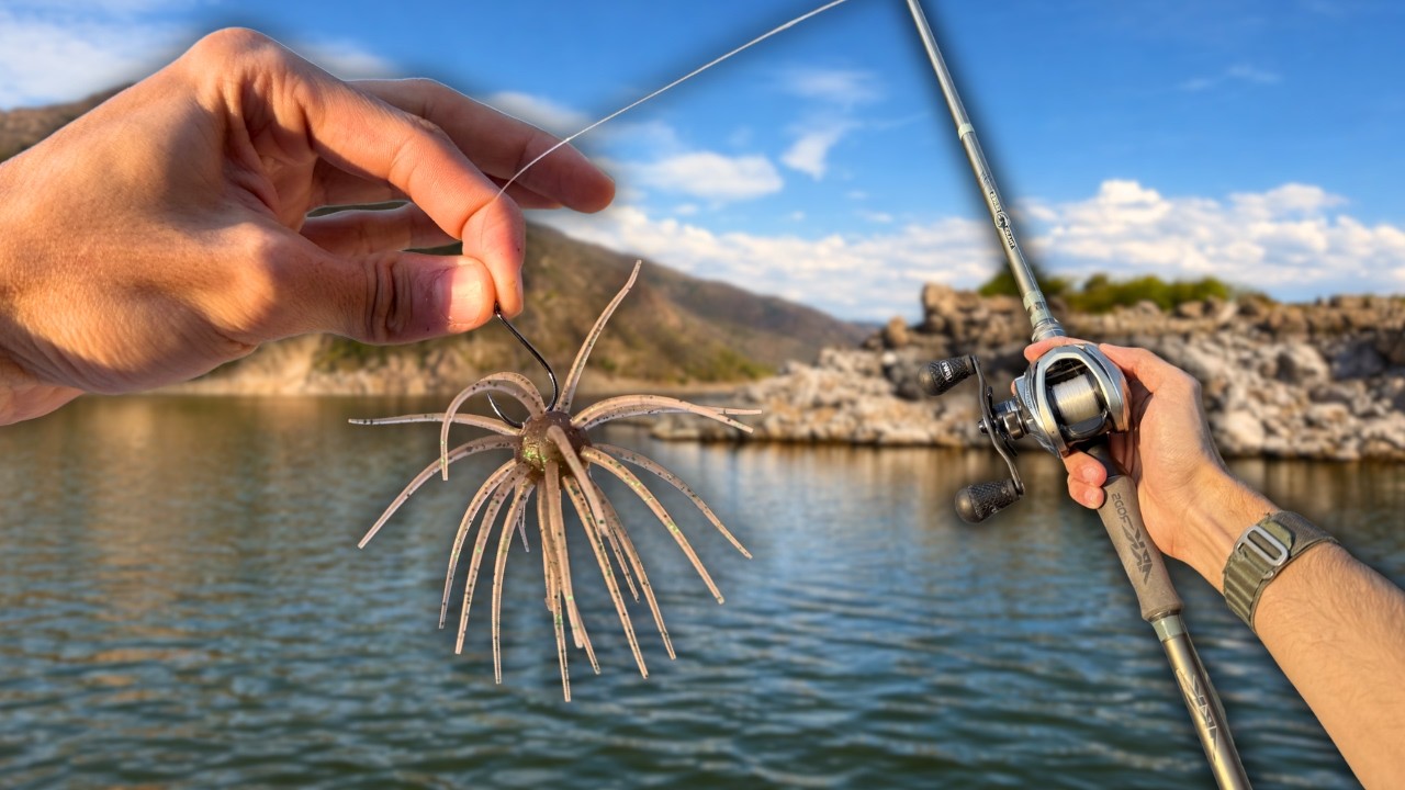 Este EXTRAÑO señuelo pesca CIENTOS de peces!! -Reto de pesca Hideup Coike 17mm