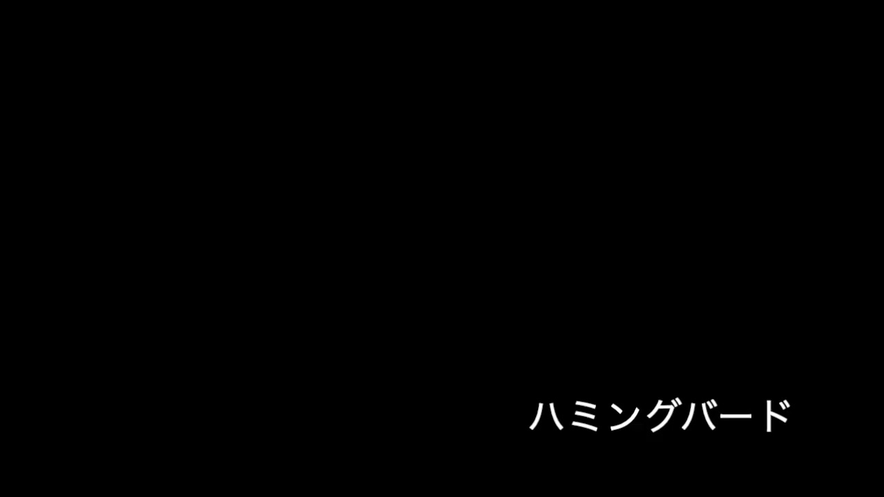 (Caravan)ハミングバード - Cover - tayajis