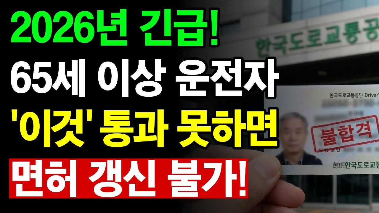 긴급 확인 | 65세 이상 운전면허 갱신｜'이것' 모르면 거절됩니다 | 필수 확인!
