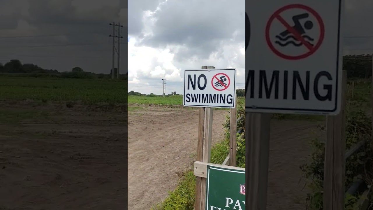 No Swimming?  Did I miss something?  LOL