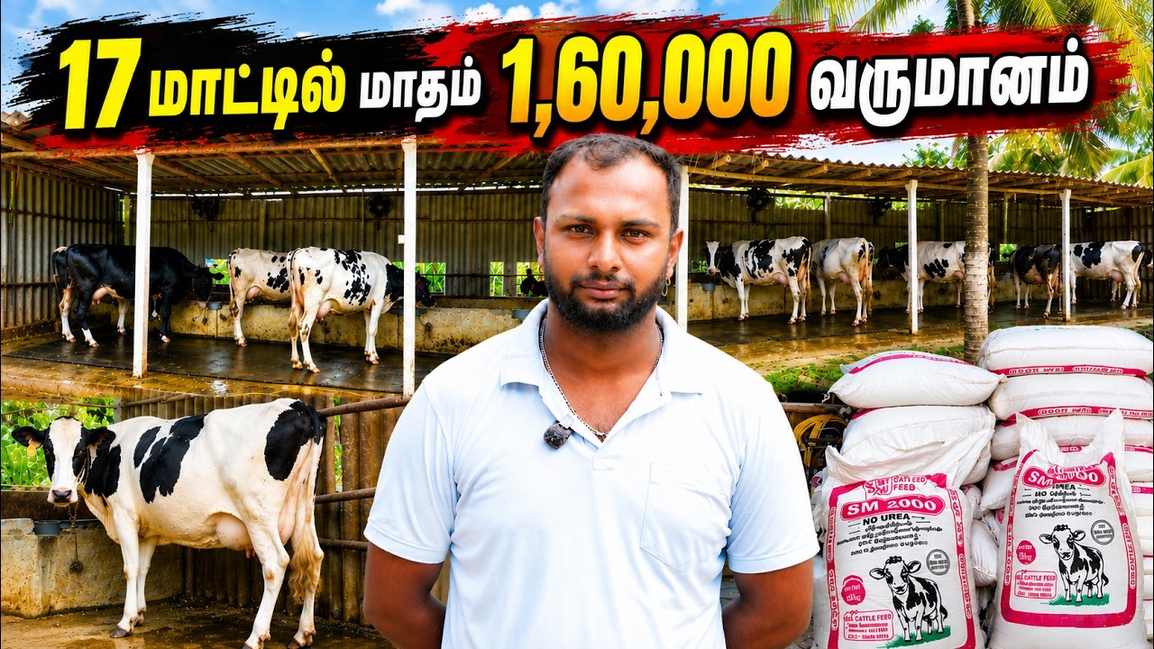 17 மாடுகளில் மாதம் ₹1,60,000 வருமானம் | பொள்ளாச்சி Dairy Farm Success Story