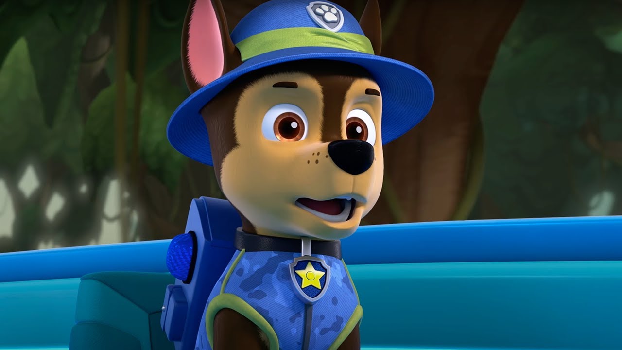 PAW Patrol - Monkey Jungle Rescue | Season 9 Compilation | WildBrain Zoo | Kids Cartoons