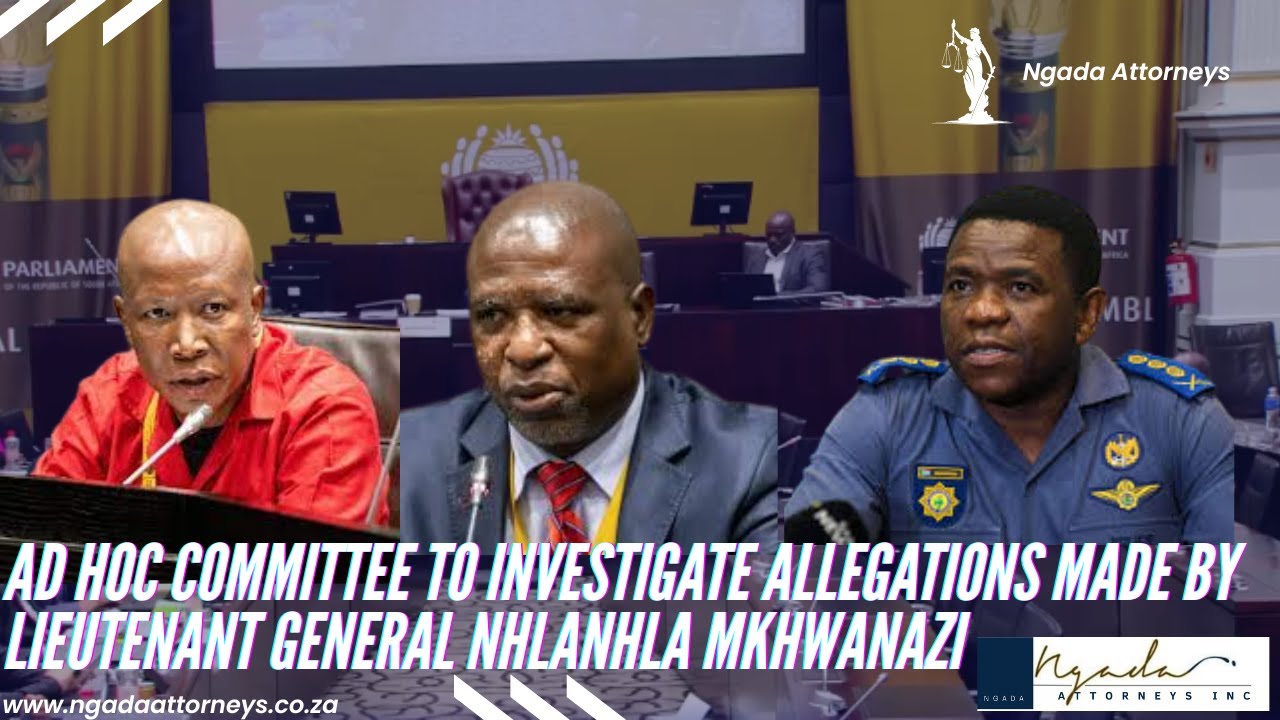 Parliament Ad Hoc Committee on Mkhwanazi allegations hears testimonies from witnesses