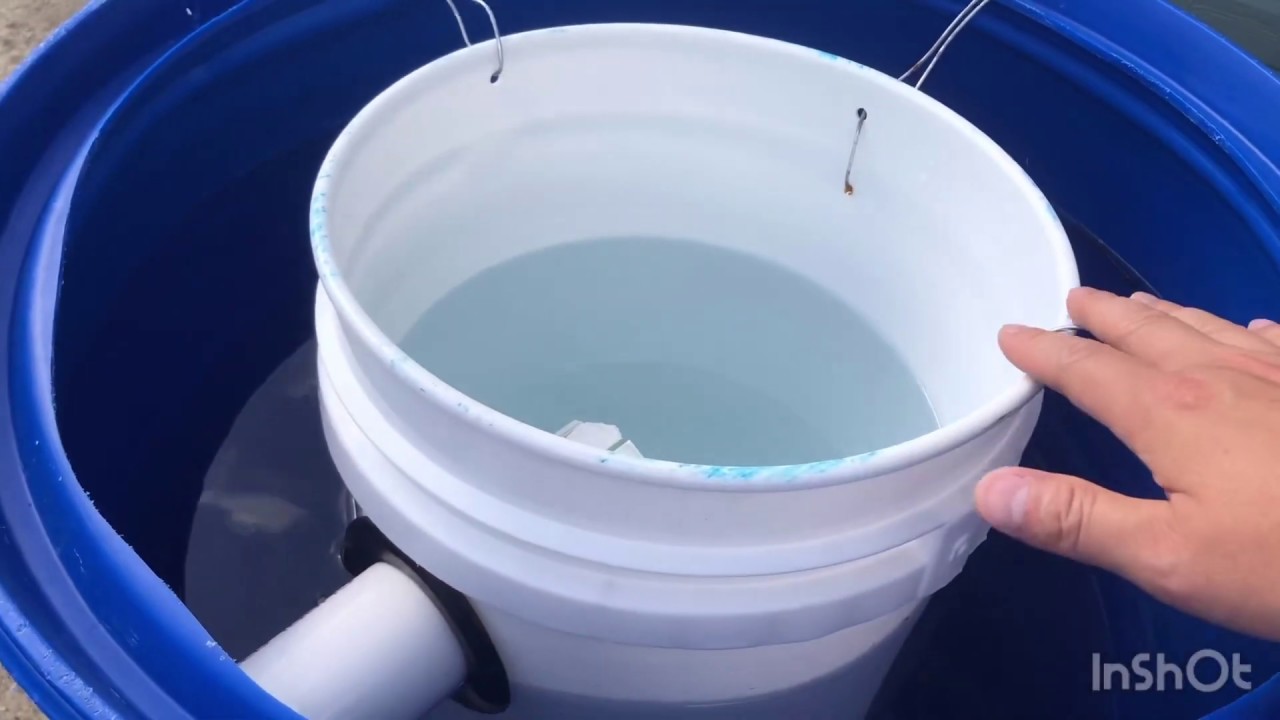 Đột Nhập Hồ Cá Koi Và Chia Sẽ Cách Làm Bộ Lọc Nước Trong Sạch| Koi Fish Pond| Homemade Pond Filter
