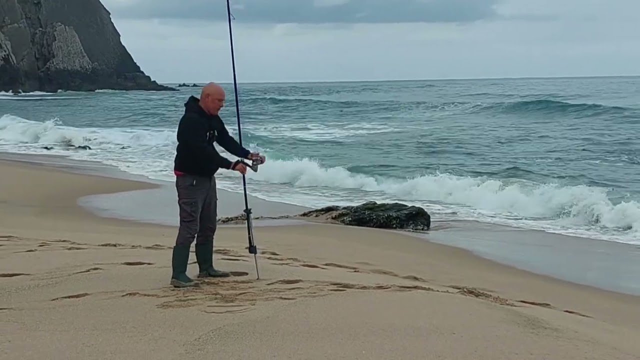 Um robalo é sempre um robalo