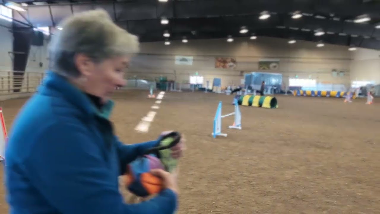 Sprocket UKI beginner jumpers 1/31/2026 - 1st place Q