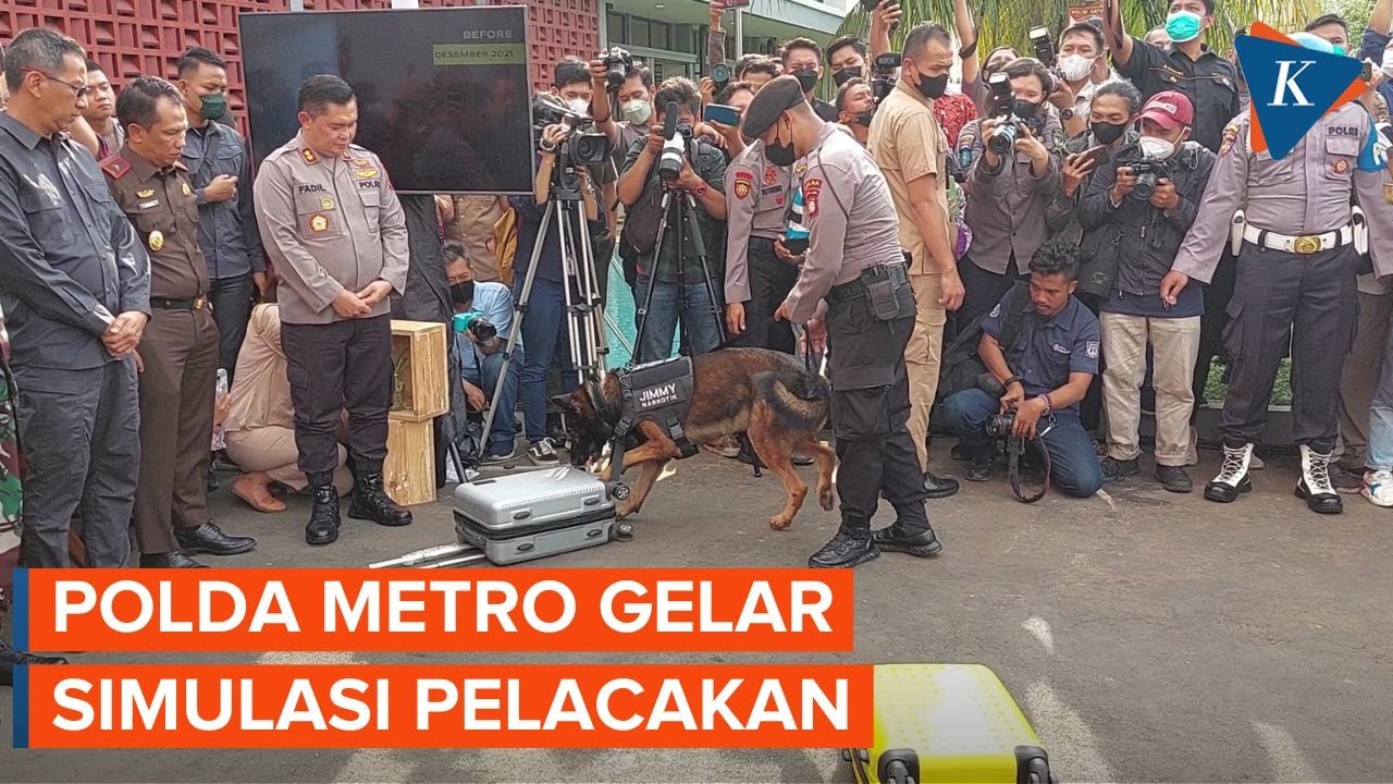 Melihat Aksi Unit K9, Anjing Pelacak Milik Polda Metro Jaya
