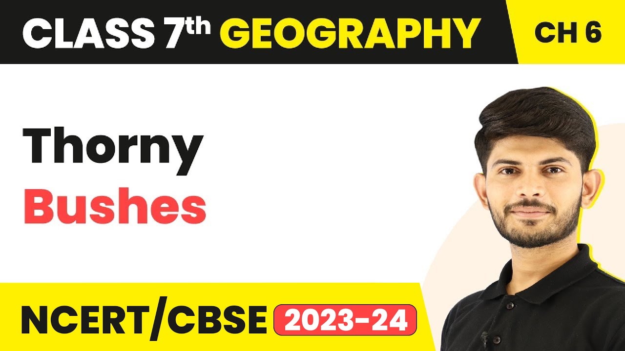 Thorny Bushes - Natural Vegetation and Wildlife | Class 7 Geography