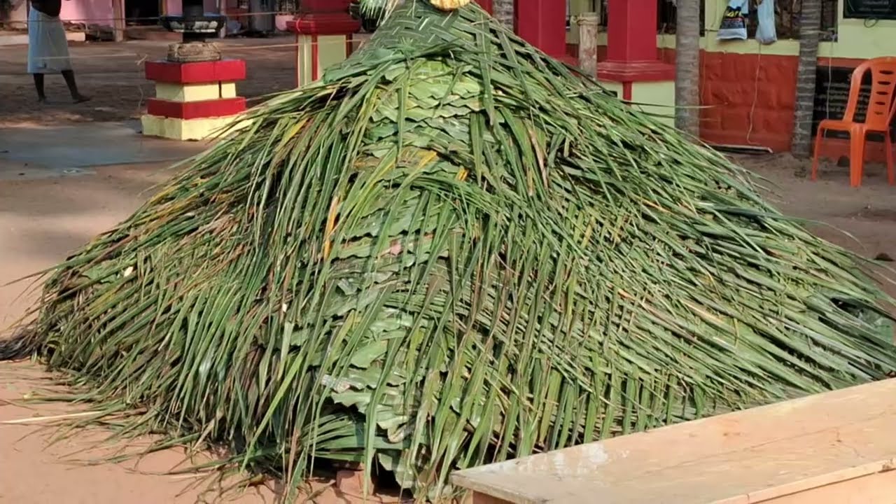 PACHALLOOR-FHD-പാച്ചല്ലൂർ ഭദ്രകാളി08,01032026,''മലയാളത്തിൽ പാതി ഇടയാവണത്ത്'' 8°42'94 6N 76°96'54 8E