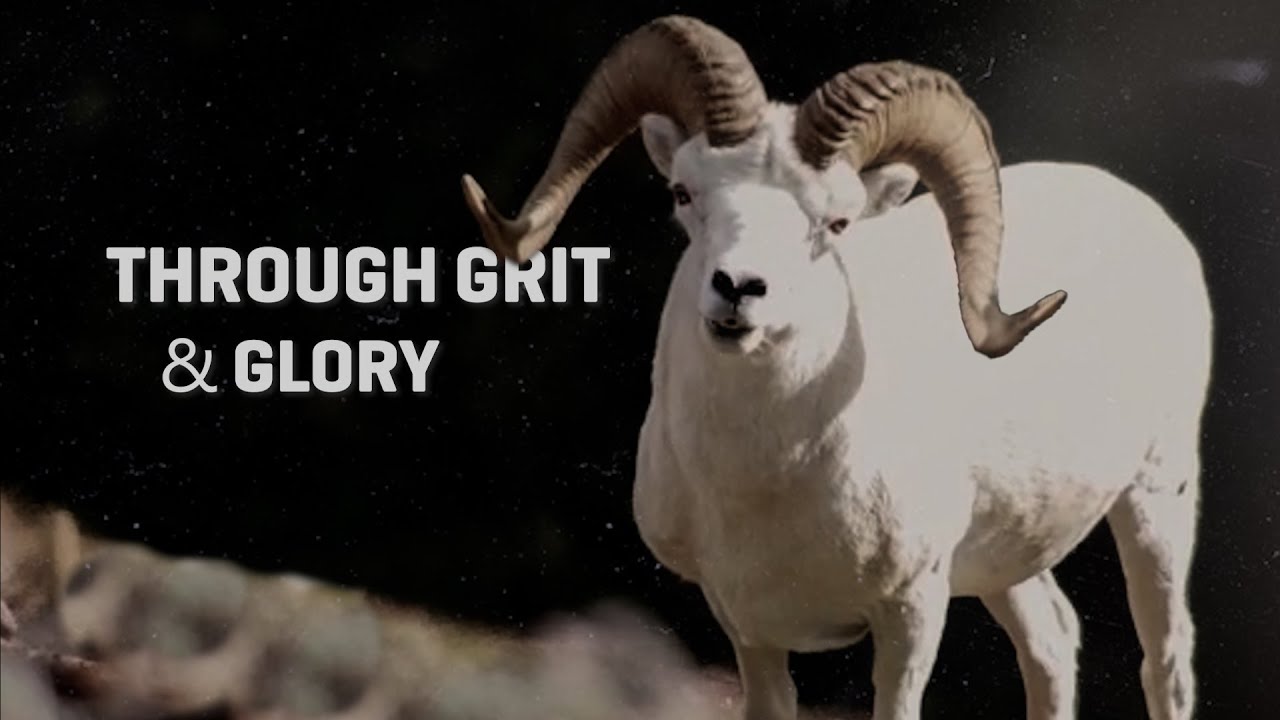 DALL SHEEP HUNT: Through Grit & Glory | Full Film