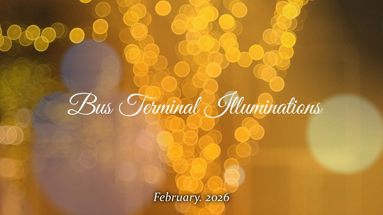 2026「 Bus Terminal Illuminations 」 ｜イルミネーション｜庄交バスターミナル｜酒田市｜山形県