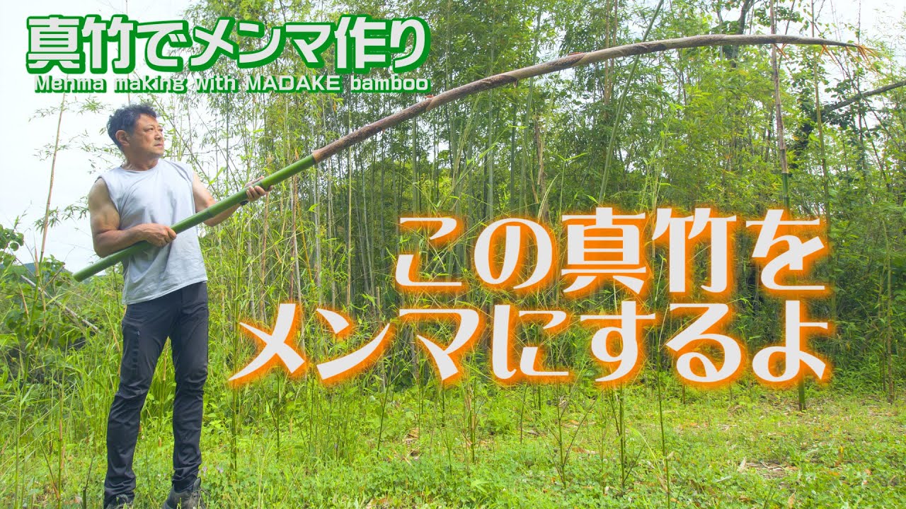 5mの真竹で美味しいメンマ作り! 干して発酵の本格メンマ