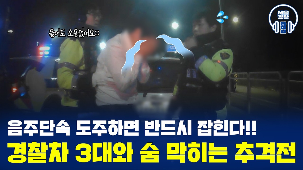 🚨경찰차 3대와 숨 막히는 추격전 🍺음주단속, 도주하면 반드시 잡힌다!!
