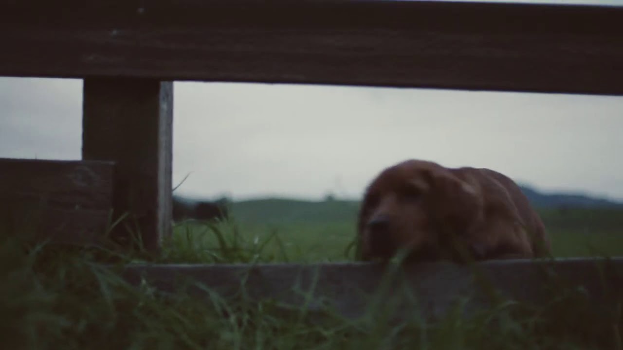 Old Friend | Subaru Commercial