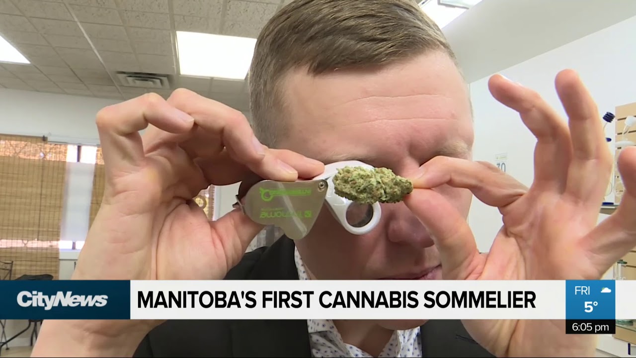 Cannabis sommelier