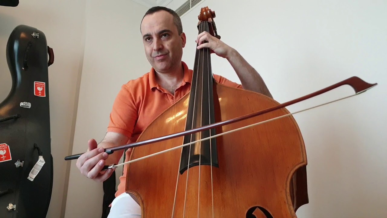 Brahms - Symphony n.1 (1st, 3rd & 4th Movement) - Double Bass Audition excerpt