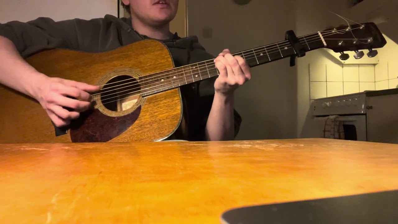 terminal paradise adrianne lenker cover