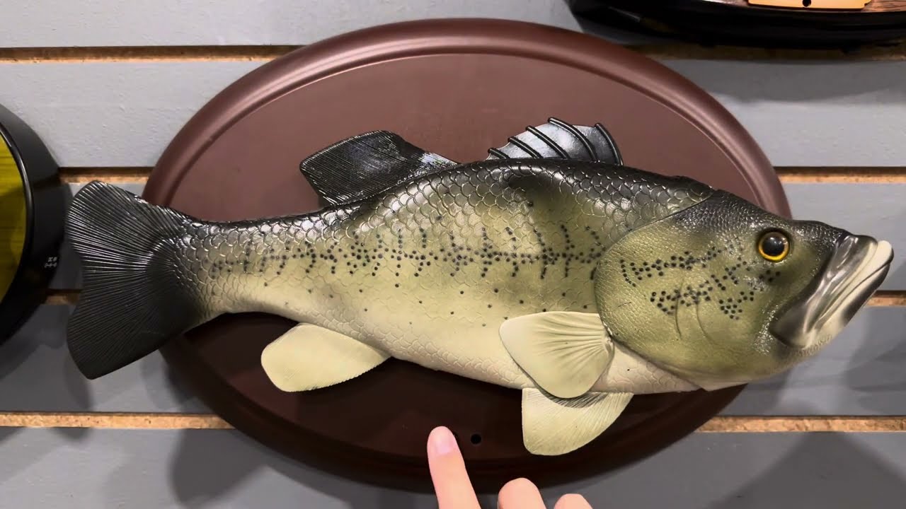 Boogie bass (singing fish)