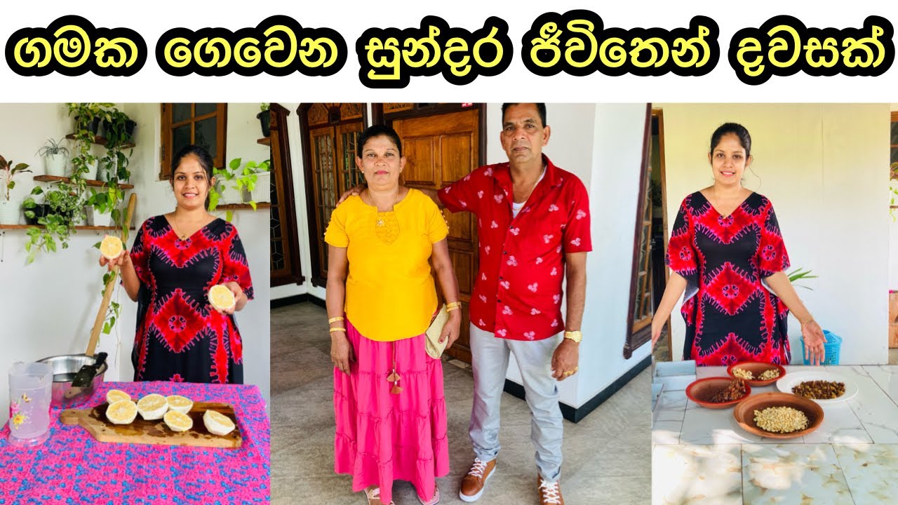 Husband නැතුව අම්මලා එක්ක ගෙවෙන ජීවිතේ || Day Vlog || My Diary