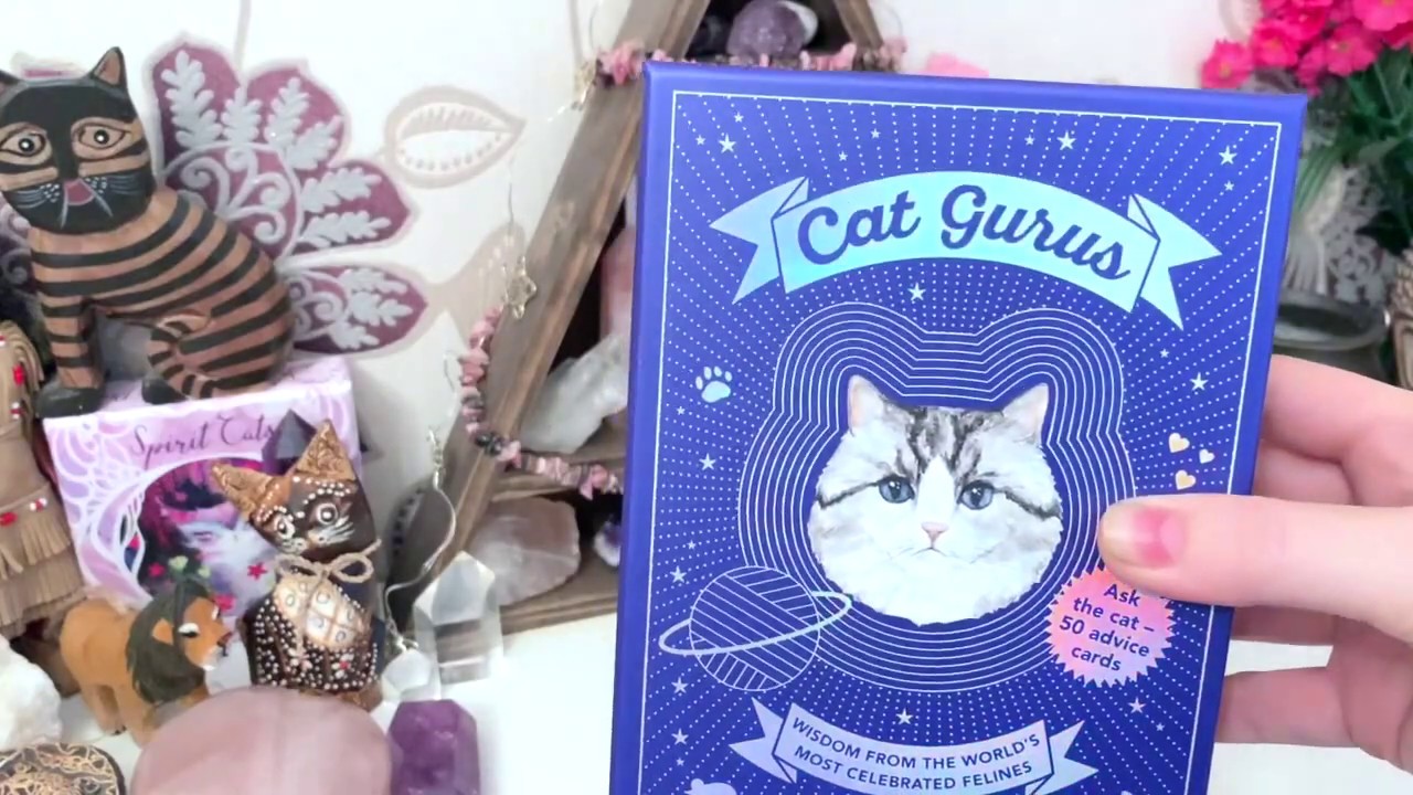 Cat Gurus // Walkthrough & Review