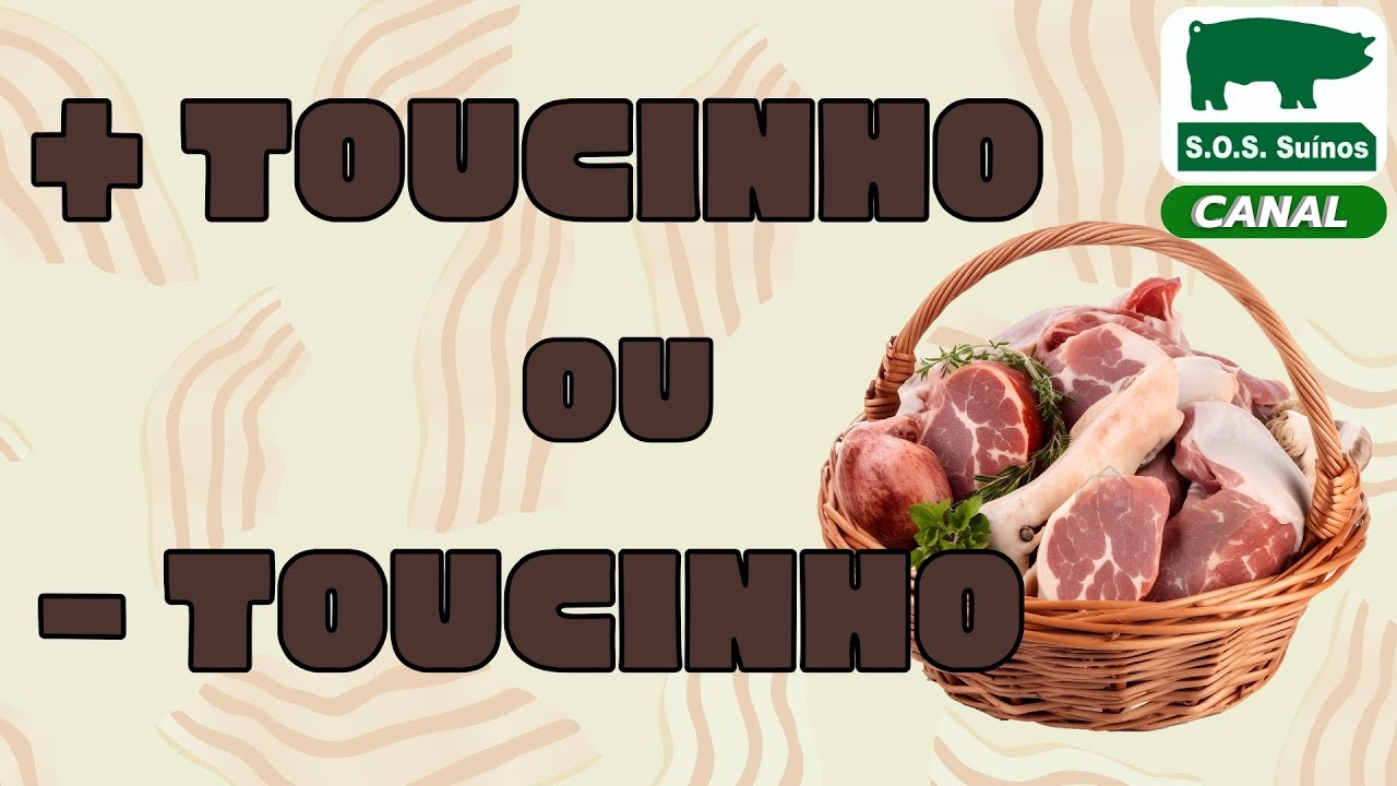 SUINOCULTURA: +  TOUCINHO ou   TOUCINHO