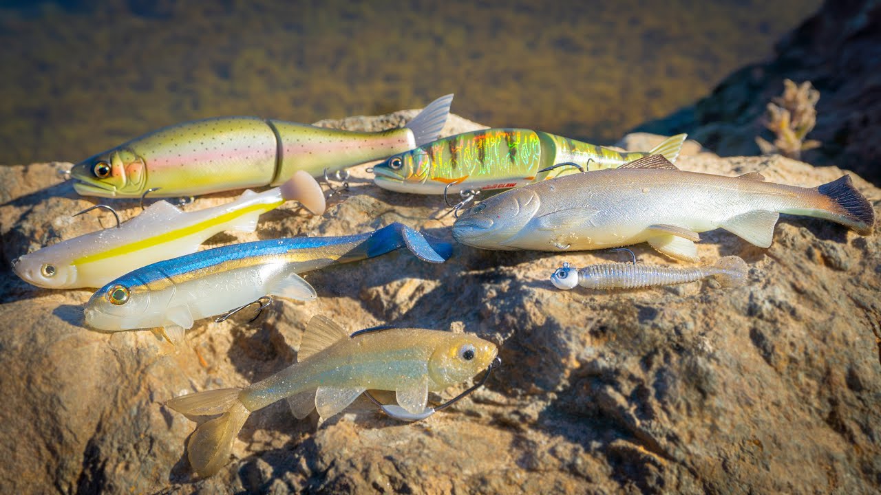 Fall Swimbait Tricks - Which Swimbaits Catch More Fish?