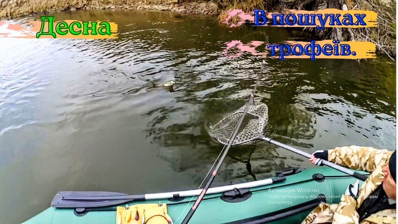Десна  В очикуванні трофеїв