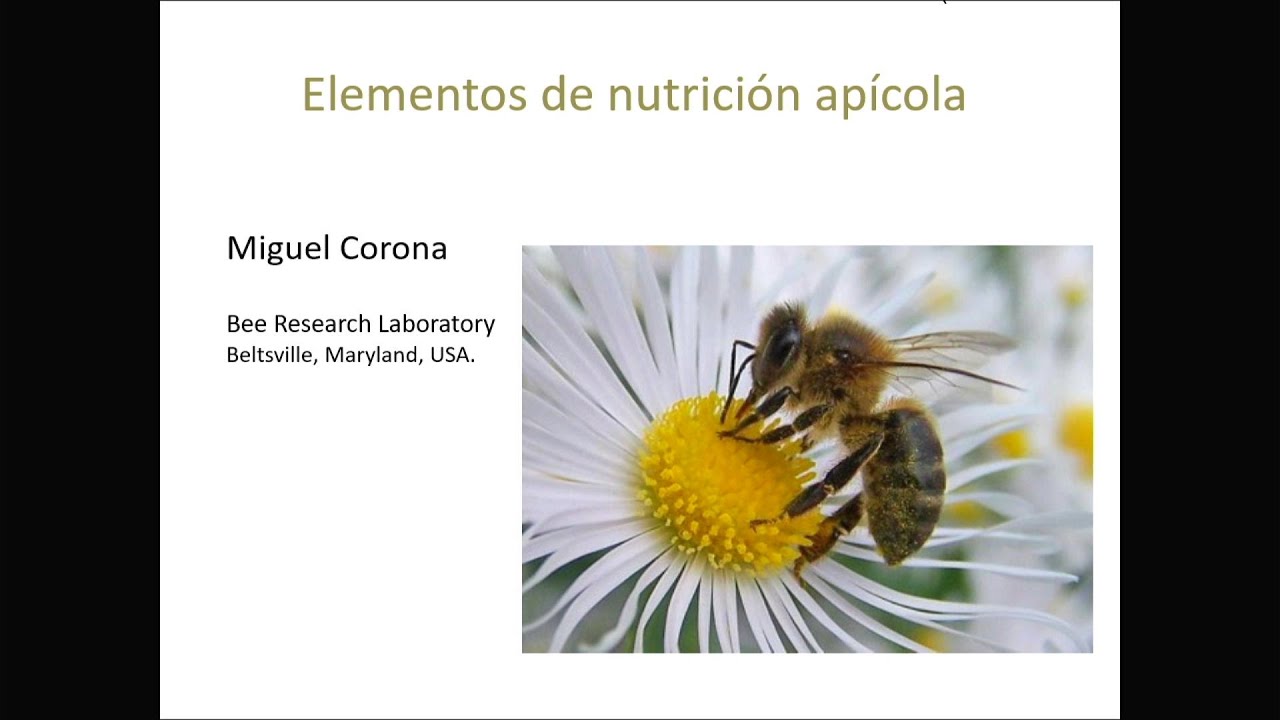 Elementos de Nutrición Apícola