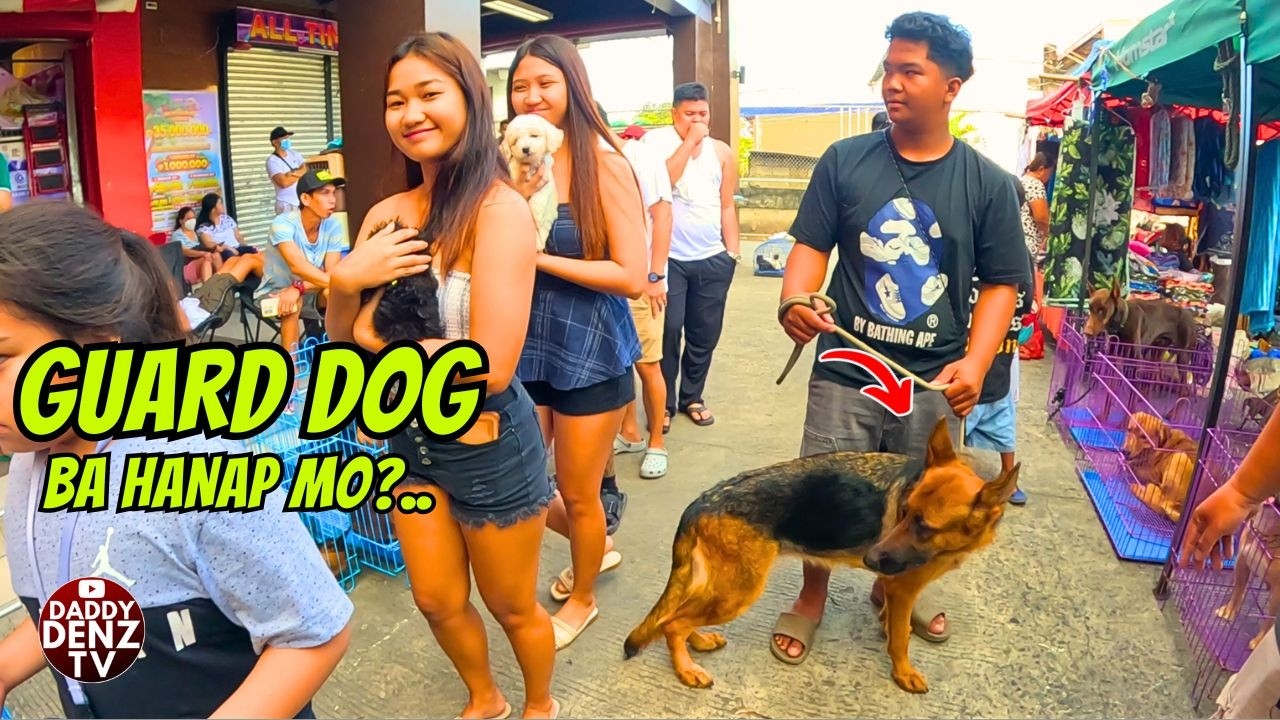 SMALL OR LARGE DOG BREED MADAMI PAGPIPILIAN.. .. / CONT'N @GROTTO PETS & LIVESTOCK MARKET