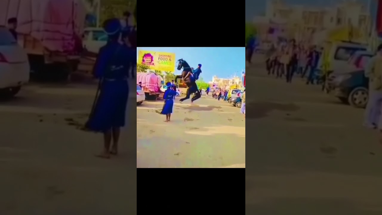 Nihang Sikhs in Delhi | #gurudifauj #farmersprotestindia
