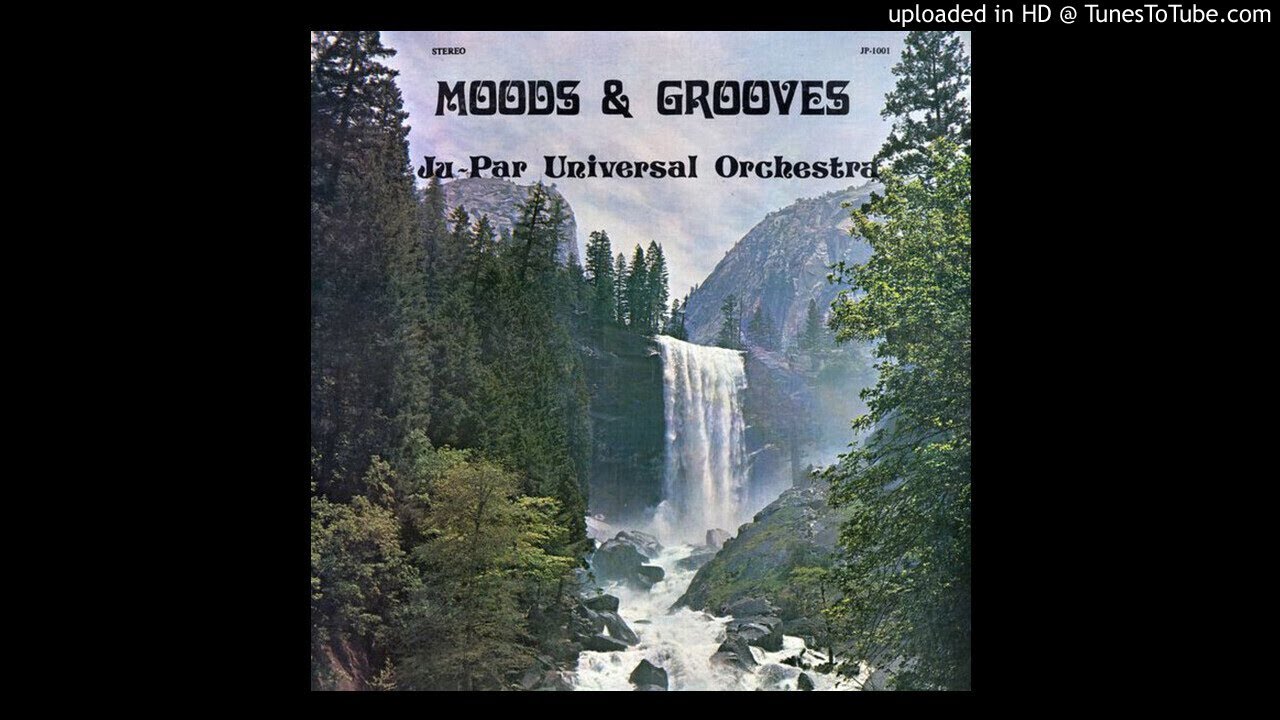 JU-PAR UNIVERSAL ORCHESTRA - Is anyone listening