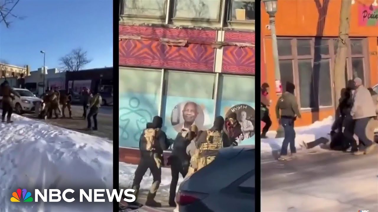 Witness videos raise questions about shooting that killed Alex Pretti