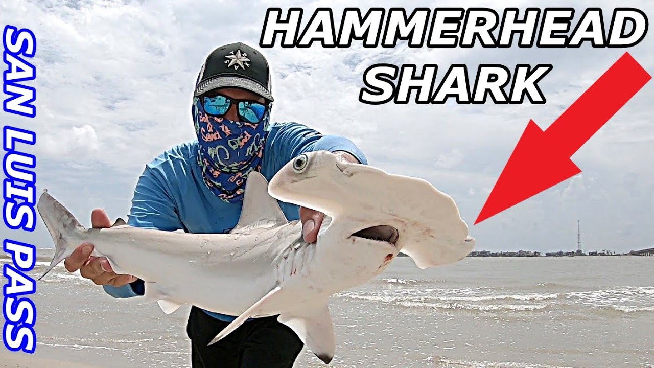 SAN LUIS PASS WEEKEND | SURF FISHING GALVESTON TX SHARKS | FT. ADVENTURE BRO